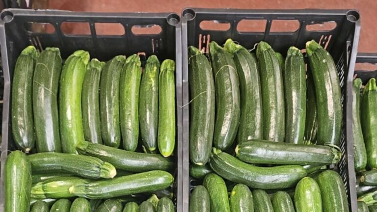 A settembre i prezzi degli ortaggi raggiungono un picco, zucchine +50%