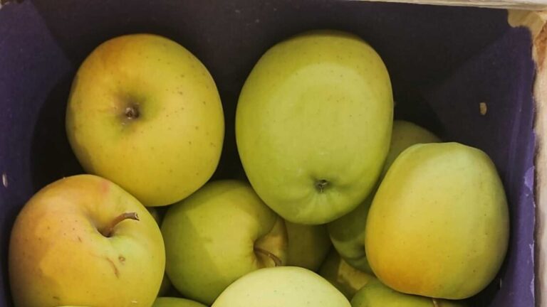 Aumento del 10% per il prezzo delle mele in un anno: la Golden è la preferita