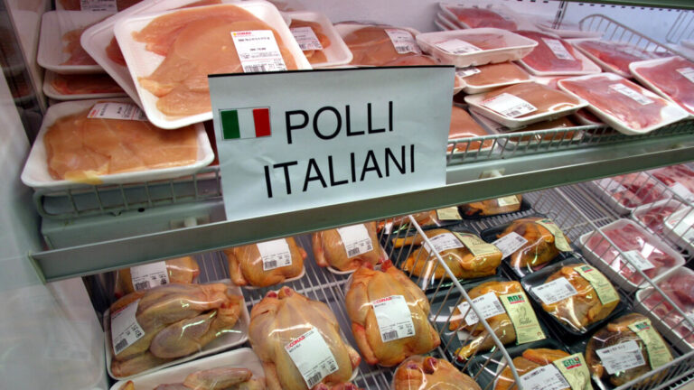 Aumento del 3,7% nei consumi di carni bianche nel 2024: 22 kg pro capite