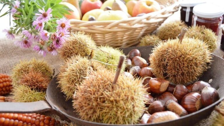Bmti: calo dei prezzi delle castagne grazie a un’ottima produzione 2025