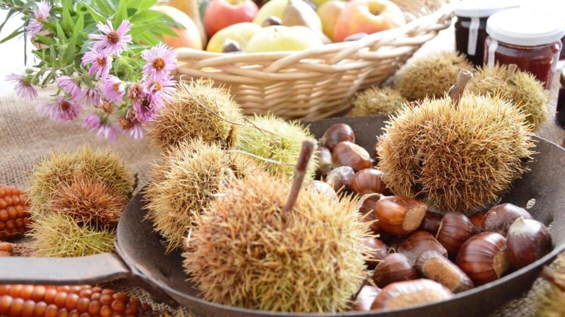 Bmti: calo dei prezzi delle castagne grazie a un’ottima produzione 2025