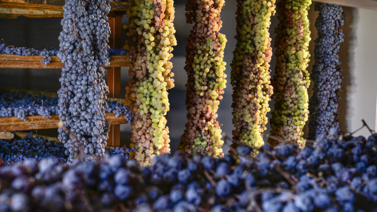 Il Recioto della Valpolicella ottiene il riconoscimento di Presidio Slow Food