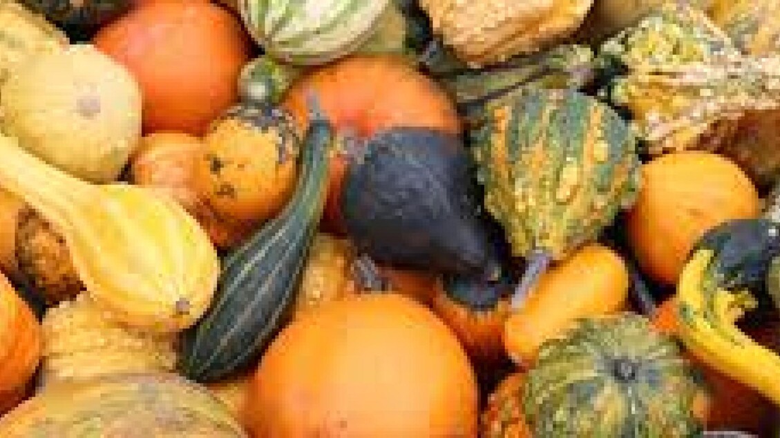 Il prezzo della zucca di Halloween scende del 14,5% rispetto al 2024