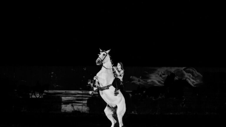 Inizia la 127ª edizione di Fieracavalli, fiera dedicata al mondo equino