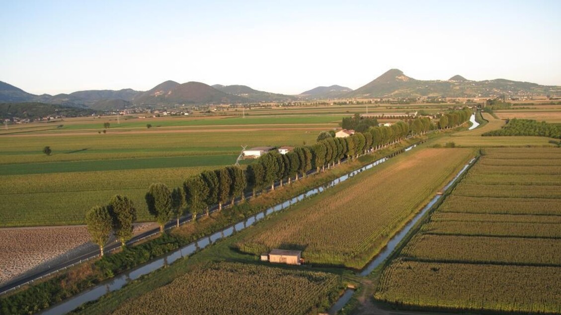 Ismea mette in vendita oltre 14mila ettari della Banca delle Terre Agricole