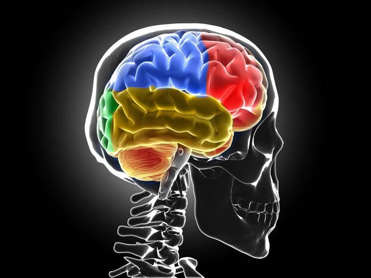 Sistema di ‘lavaggio’ cerebrale in crisi: le conseguenze della mancanza di sonno