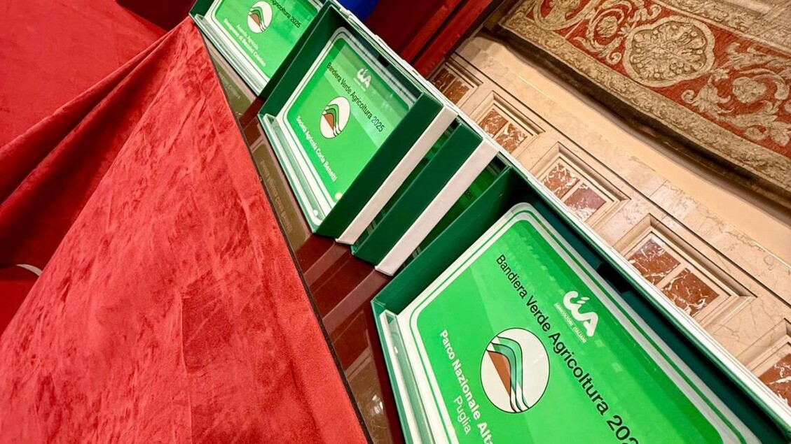 Bandiera Verde Cia: i campi come pilastri della filiera agroalimentare