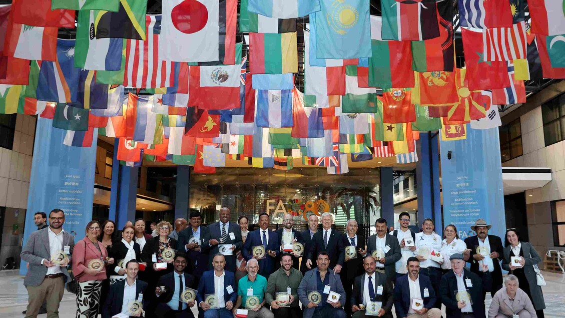 Il futuro del caffè: esperti internazionali si confrontano alla Fao