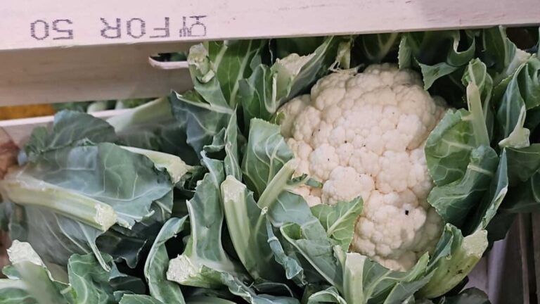 L’autunno temperato rallenta l’aumento dei prezzi al mercato, ma i consumi stentano