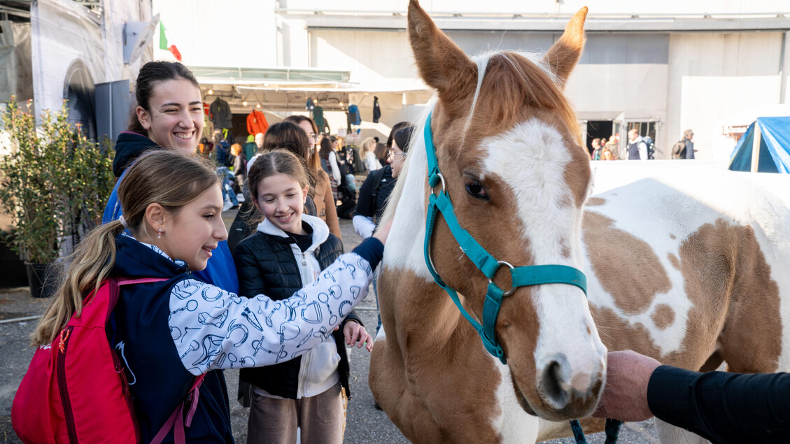 Lollobrigida: Verona si afferma come centro internazionale per l’equitazione