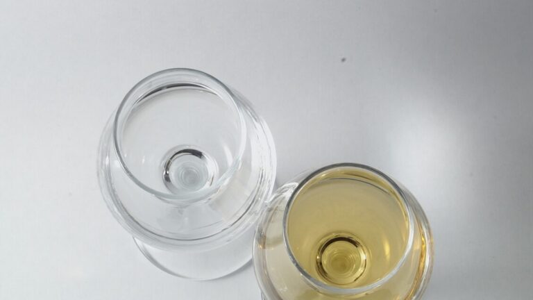 Lollobrigida ottiene il riconoscimento per il Consorzio nazionale Grappa Ig