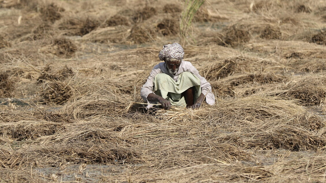 Onu: il cambiamento climatico riduce il rendimento agricolo in 9 nazioni su 10