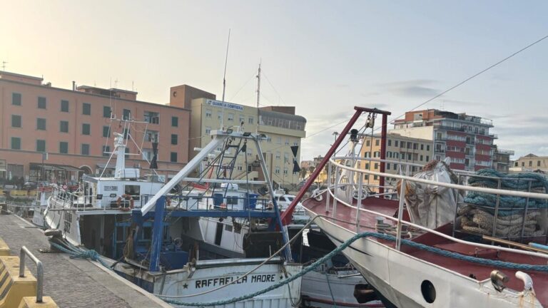 Sapore di mare: ad Anzio un viaggio tra tradizioni e degustazioni culinarie