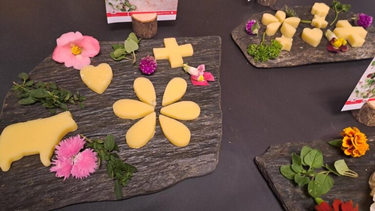 World Cheese Awards: a Berna competizione per 5.244 formaggi da 46 nazioni